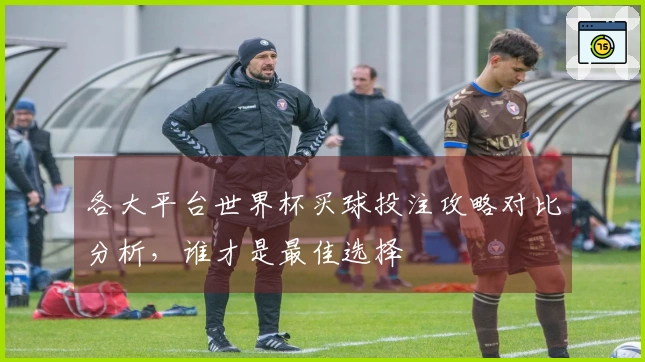 各大平台世界杯买球投注攻略对比分析，谁才是最佳选择