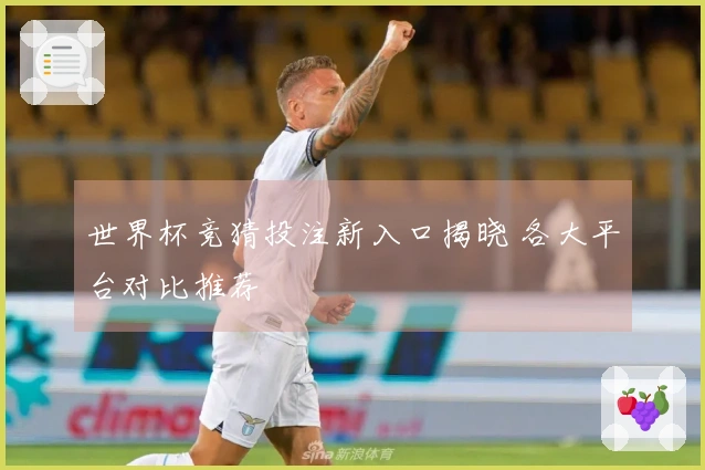 世界杯竞猜投注新入口揭晓 各大平台对比推荐