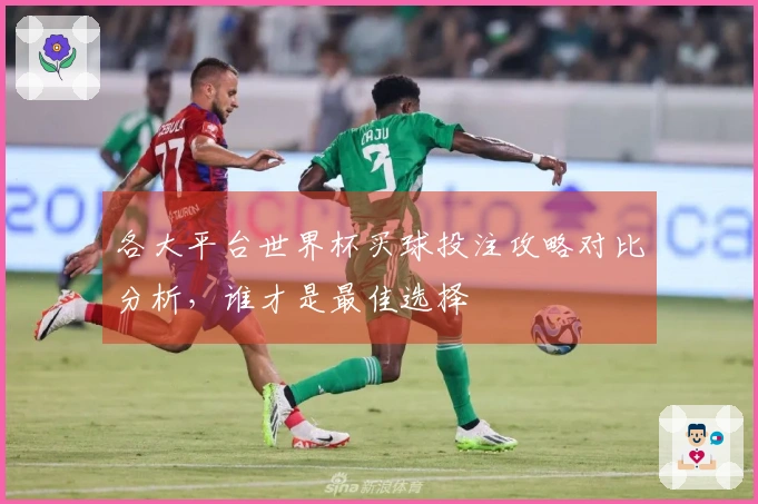 各大平台世界杯买球投注攻略对比分析，谁才是最佳选择
