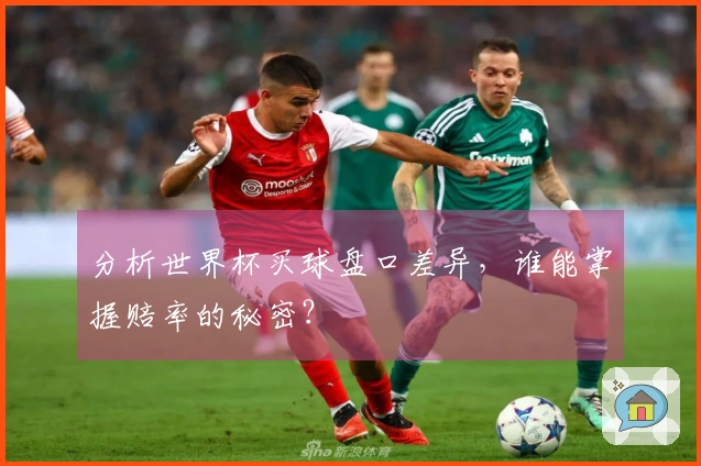 分析世界杯买球盘口差异，谁能掌握赔率的秘密？