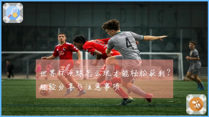 世界杯滚球怎么玩才能轻松获利？经验分享与注意事项