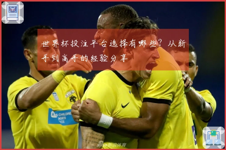 世界杯投注平台选择有哪些？从新手到高手的经验分享