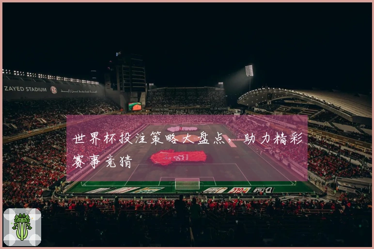 世界杯投注策略大盘点，助力精彩赛事竞猜
