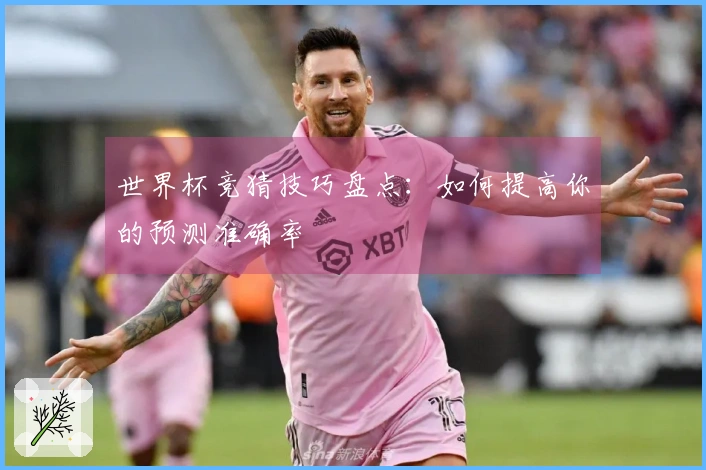 世界杯竞猜技巧盘点：如何提高你的预测准确率