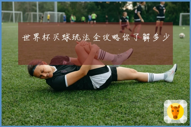 世界杯买球玩法全攻略你了解多少