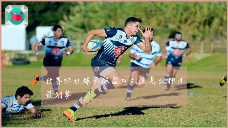 世界杯让球买球盘口到底怎么押才最划算