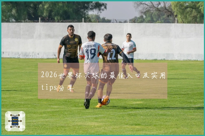 2026世界杯买球的最佳入口及实用tips分享