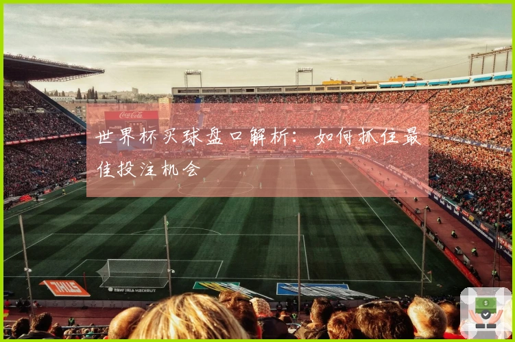 世界杯买球盘口解析：如何抓住最佳投注机会