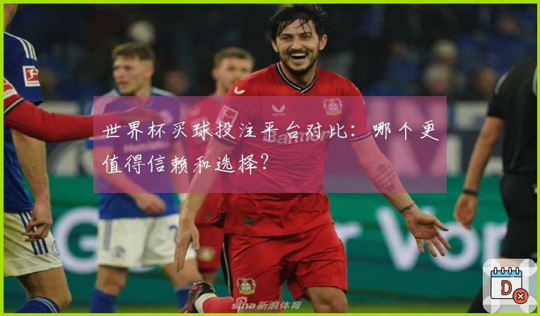 世界杯买球投注平台对比：哪个更值得信赖和选择？